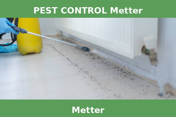PEST CONTROL Metter